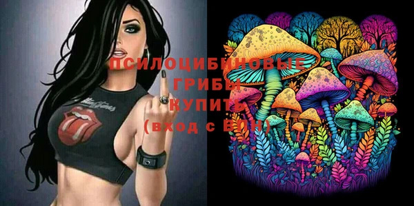 молекула духа Волосово