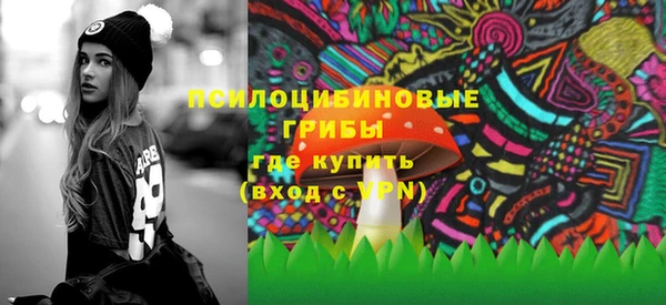 гидра Волоколамск