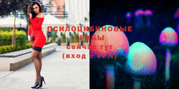 молекула духа Волосово