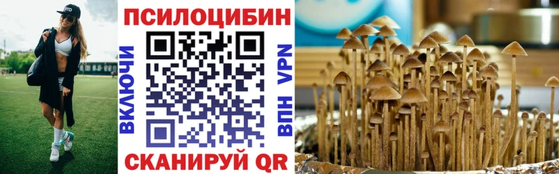 продажа наркотиков Кимры Псилоцибиновые грибы Cubensis